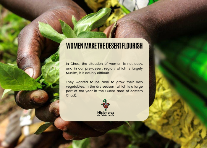 HUERTAS-CHAD-ESPAÑOL