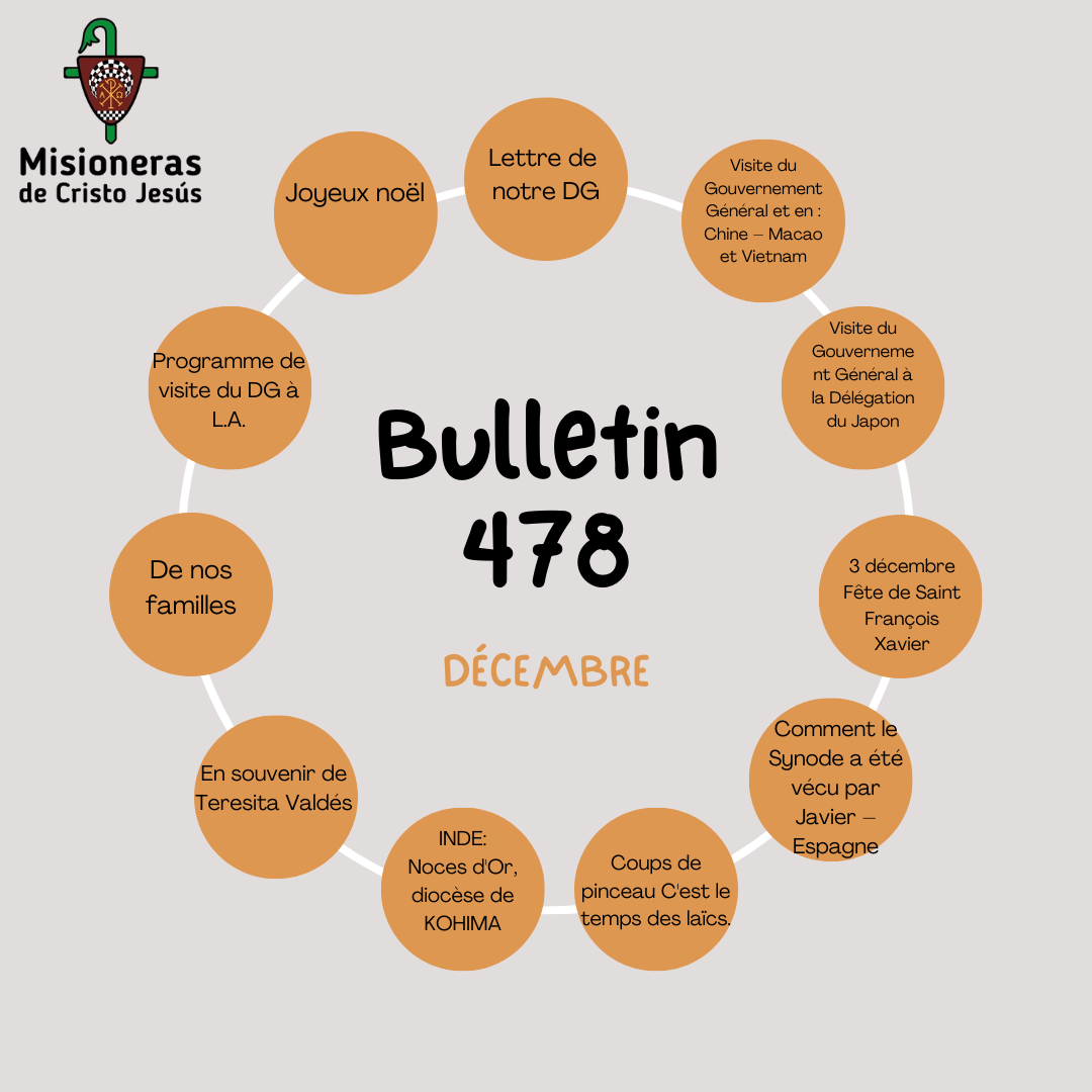 boletin-478-español