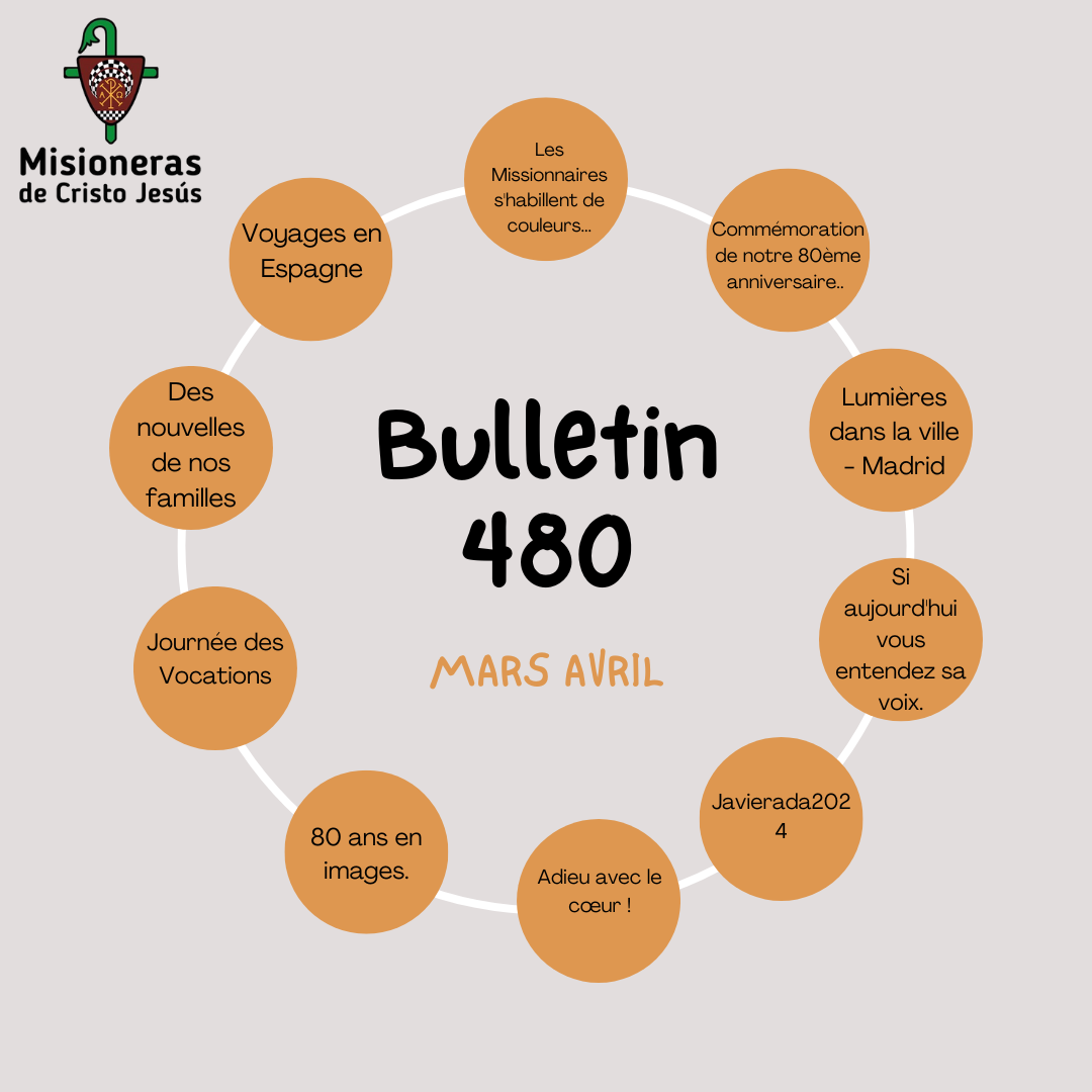 Boletín 480 español