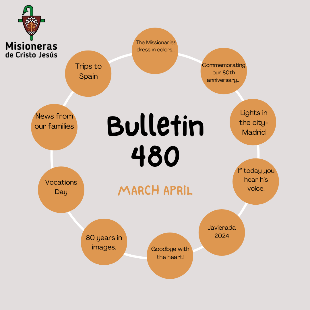 Boletín 480 español