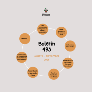 boletin-493-español