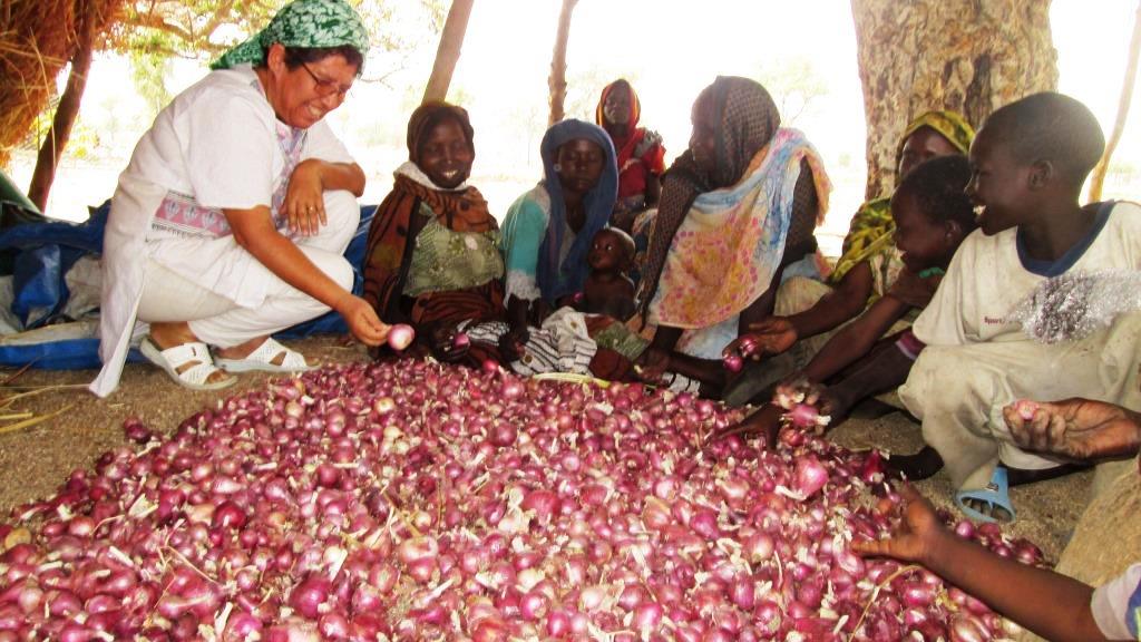 Mujeres Huertas CHAD (10)