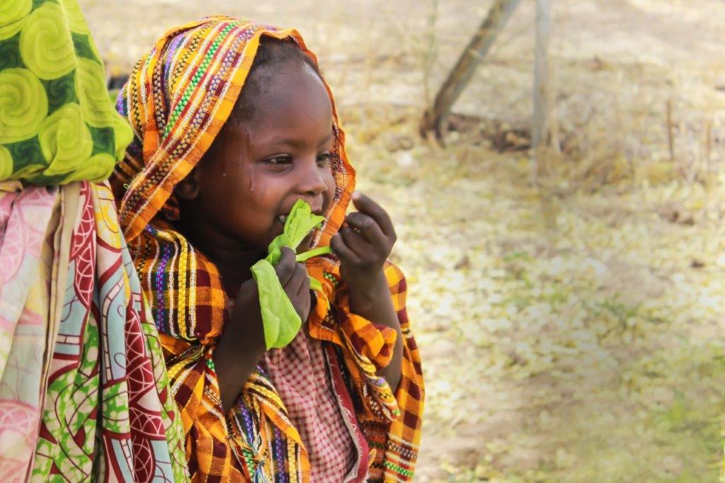 Mujeres Huertas CHAD (100)