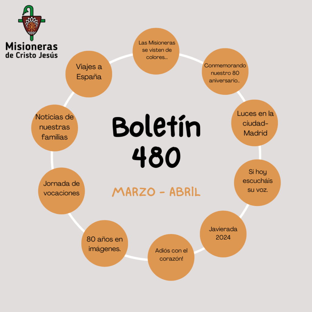 Boletín 480 español